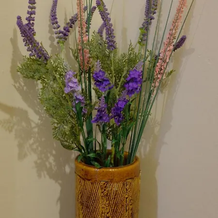 Апартамент просторен и уютен двустаен в долен лозенец - кварталът на артистите София