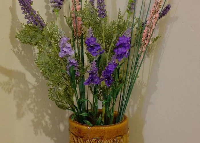 Lejlighed просторен и уютен двустаен в долен лозенец - кварталът на артистите Sofia