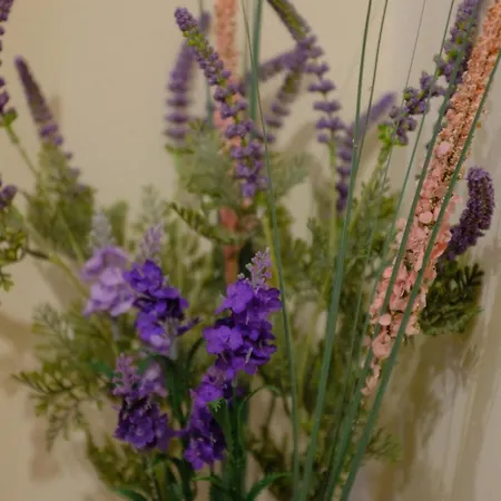 Апартаменты просторен и уютен двустаен в долен лозенец - кварталът на артистите София